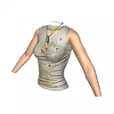 Worn Shirt - Basic Chest Protection